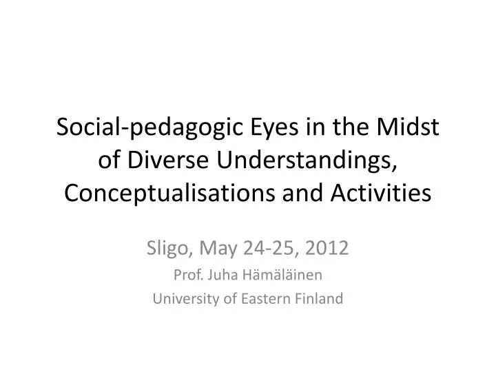 social pedagogic eyes in the midst of diverse understandings conceptualisations and activities