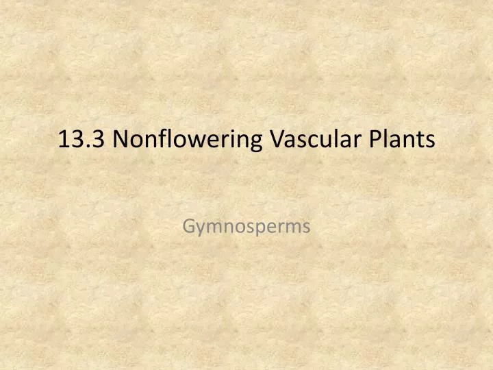 13 3 nonflowering vascular plants