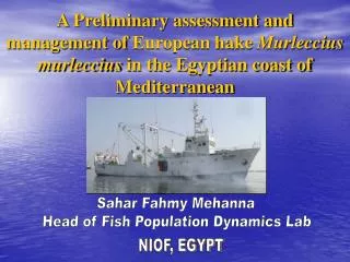 Sahar Fahmy Mehanna Head of Fish Population Dynamics Lab