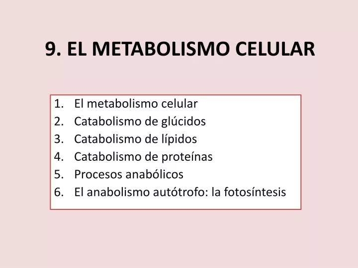 9 el metabolismo celular
