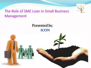 The Role of SME Loan in Small Business Management