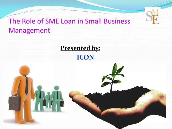 the role of sme loan in small business management
