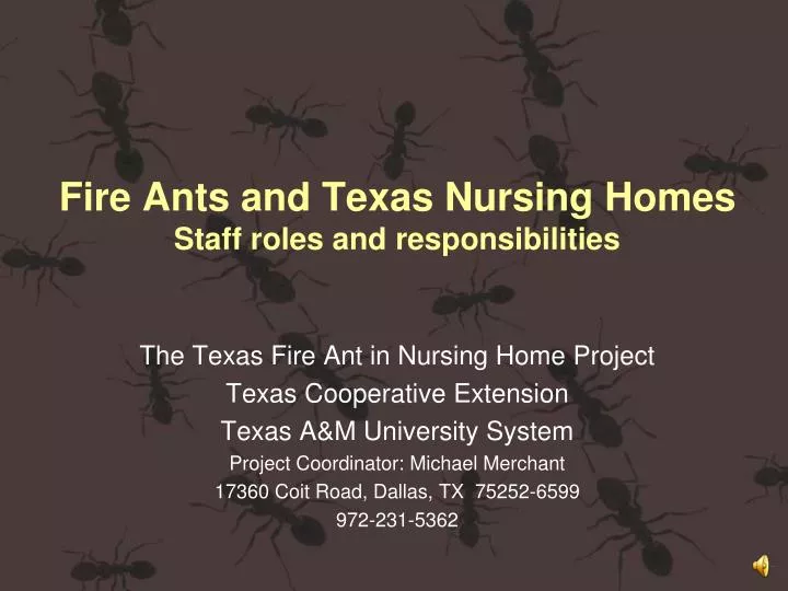 fire ants and texas nursing homes staff roles and responsibilities