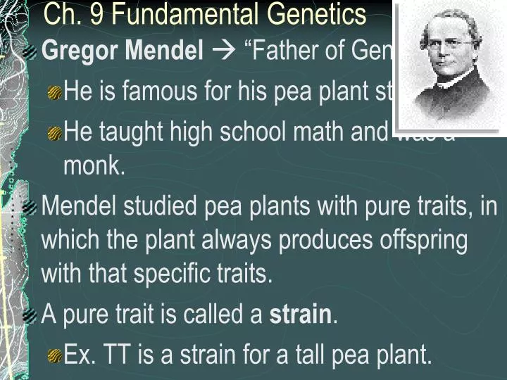 ch 9 fundamental genetics