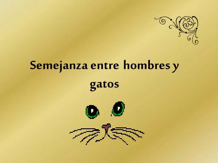 semejanza entre hombres y gatos