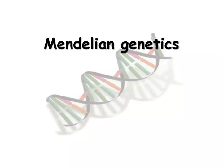 mendelian genetics