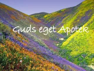 guds eget apotek