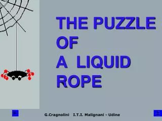 THE PUZZLE OF A LIQUID ROPE