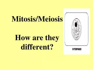 Mitosis/Meiosis How are they different?