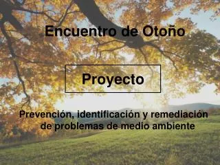proyecto