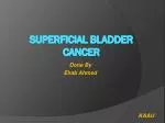 Superficial Bladder Cancer - slide 1