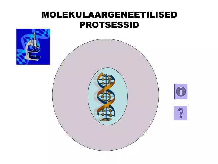 molekulaargeneetilised protsessid