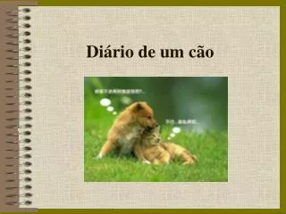 di rio de um c o