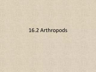 16.2 Arthropods