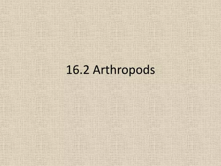 16 2 arthropods