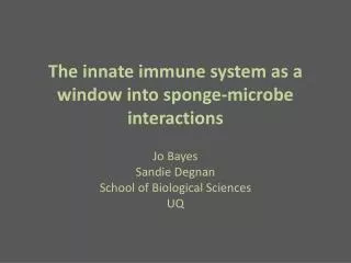 The innate immune system as a window into sponge-microbe interactions