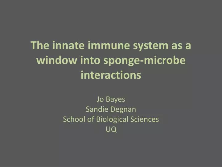 the innate immune system as a window into sponge microbe interactions