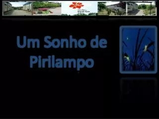 um sonho de pirilampo