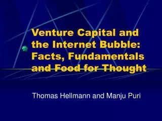 Venture Capital and the Internet Bubble: Facts, Fundamentals and Food for Thought