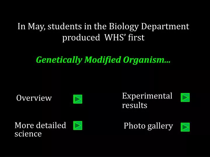 in may students in the biology department produced whs first genetically modified organism
