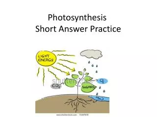 Photosynthesis Short Answer Practice