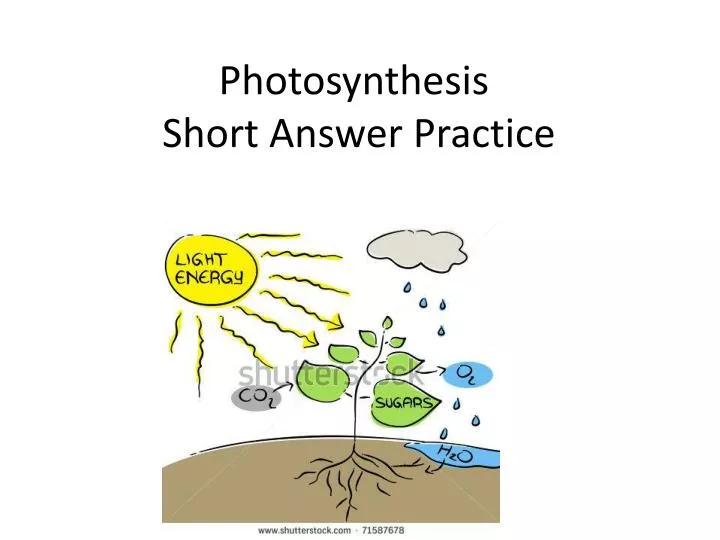 photosynthesis short answer practice