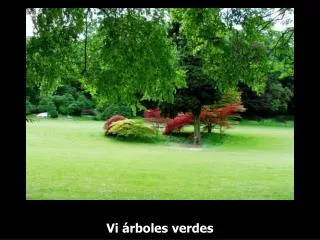 vi rboles verdes