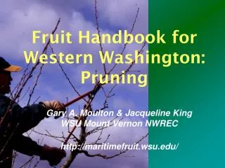 Fruit Handbook for Western Washington: Pruning