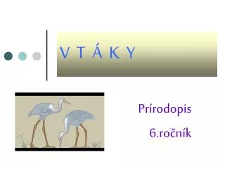 v t k y
