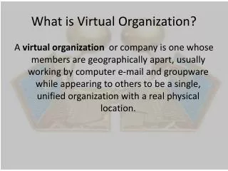 What is Virtual Organization?