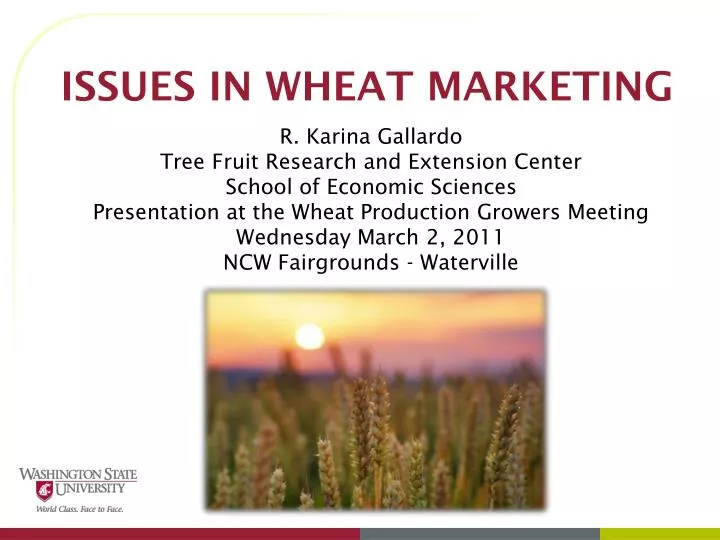 issues in wheat marketing