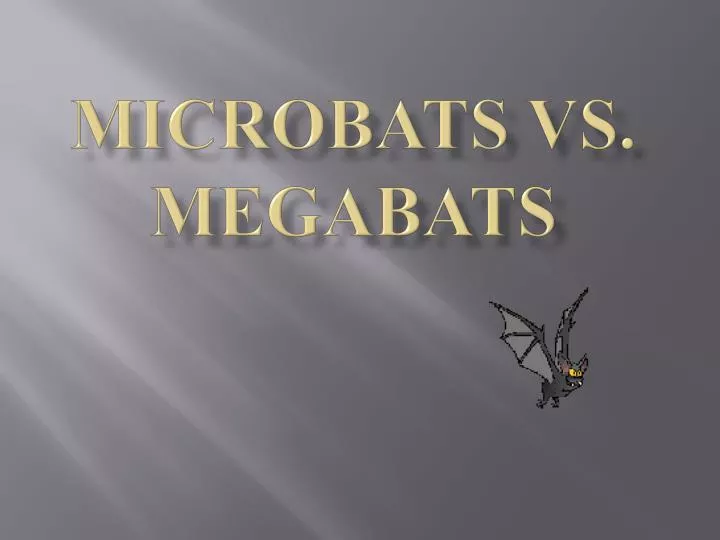 microbats vs megabats