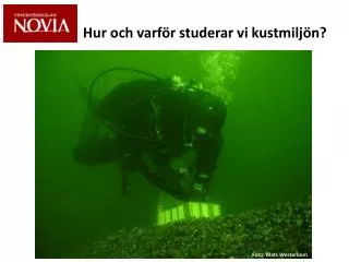 hur och varf r studerar vi kustmilj n