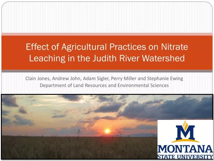 effect of agricultural practices on nitrate leaching in the judith river watershed