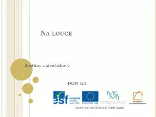 na louce