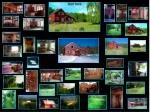 Charming Country Home with Loft, Stunning Views, and Artist-Inspired Ambience - slide 1