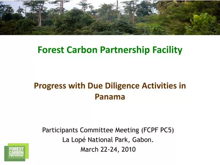 forest carbon partnership facility