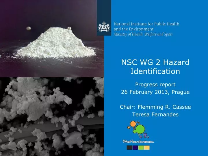 nsc wg 2 hazard identification