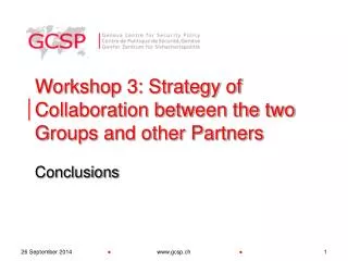 Workshop 3: Strategy of Collaboration between the two Groups and other Partners
