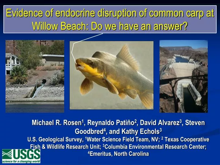 evidence of endocrine disruption of common carp at willow beach do we have an answer