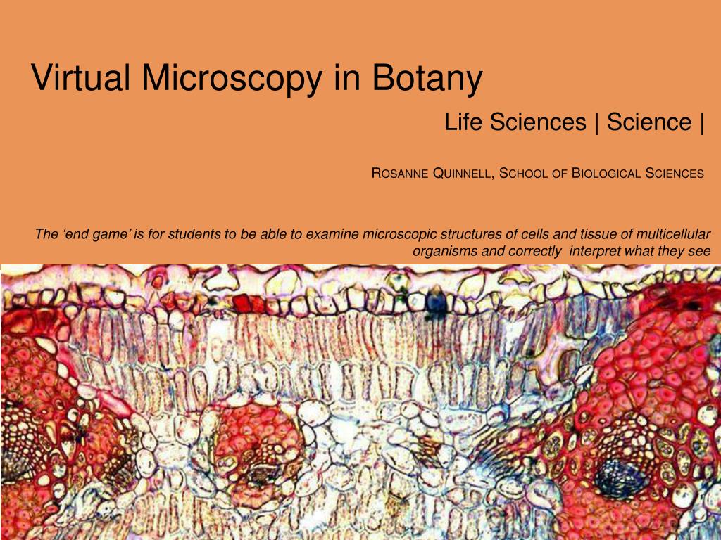 PPT - Virtual Microscopy in Botany PowerPoint Presentation, free ...