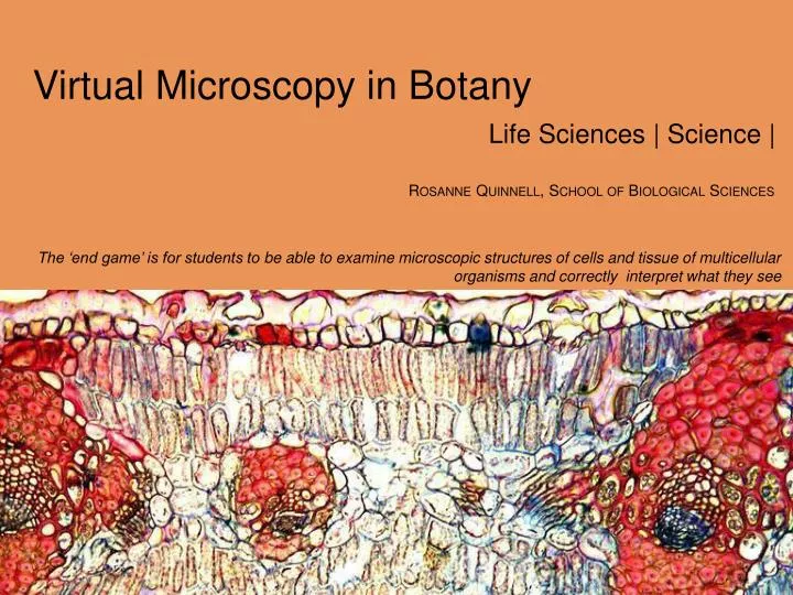 virtual microscopy in botany
