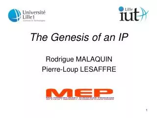 The Genesis of an IP