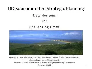 DD Subcommittee Strategic Planning