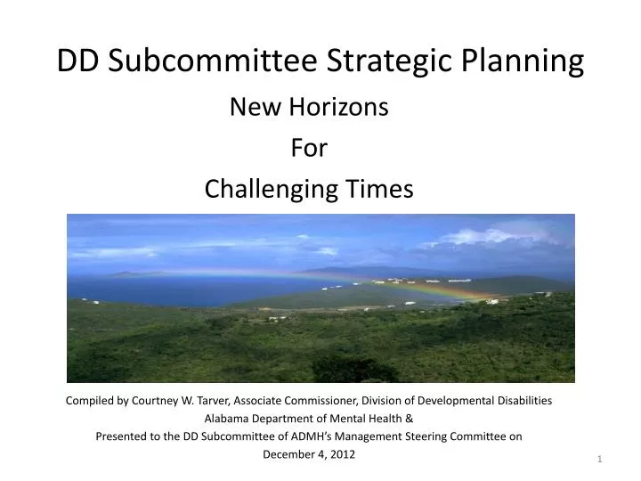dd subcommittee strategic planning