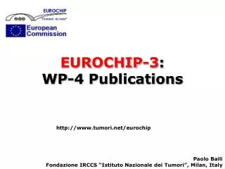 EUROCHIP-3 : WP-4 Publications
