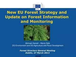 New EU Forest Strategy and Update on Forest Information and Monitoring
