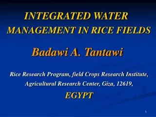 INTEGRATED WATER MANAGEMENT IN RICE FIELDS