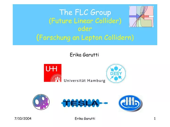 the flc group future linear collider oder forschung an lepton collidern