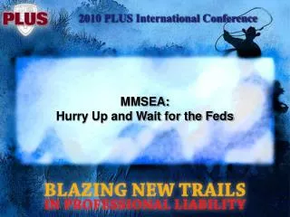 MMSEA: Hurry Up and Wait for the Feds